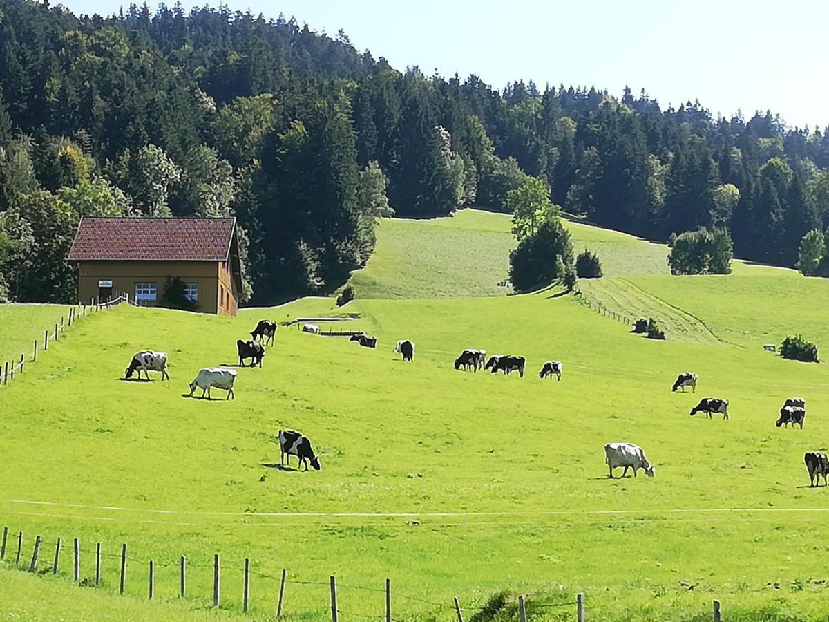 Gemuetliche Wohnung In Einfamilienhaus Alberschwende Zewnętrze zdjęcie
