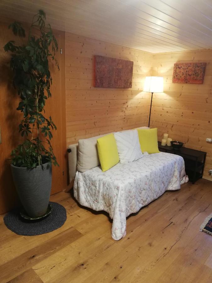 Gemuetliche Wohnung In Einfamilienhaus Alberschwende Zewnętrze zdjęcie